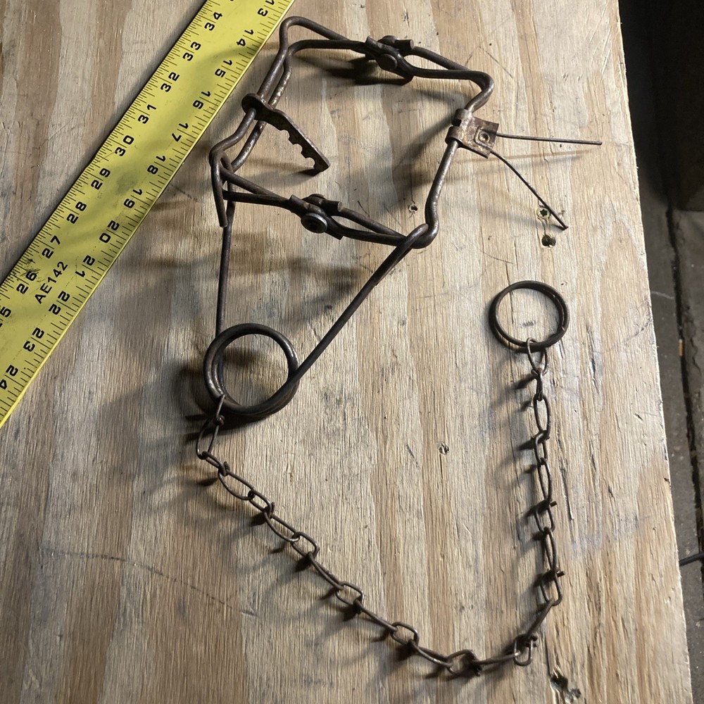 Duke 110 Single Spring Body Trap Used