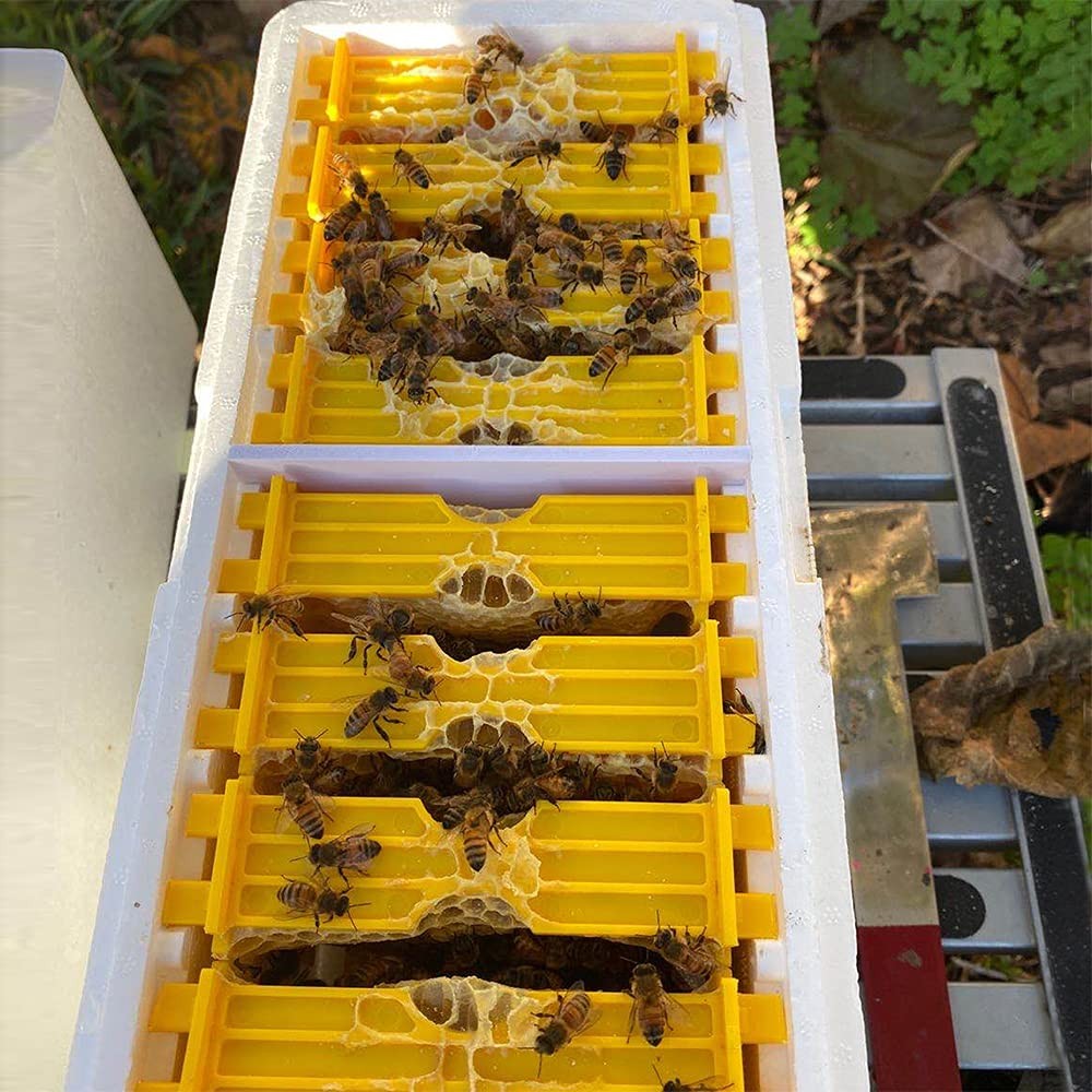 Bee Hives Boxes Plus Double Layer Queen Bee Mating Nuc Box Nuc Box for Bees Quee
