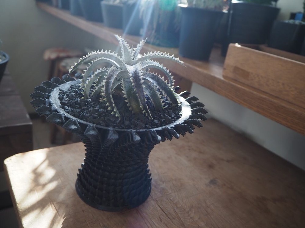 Dragon scale planter Original product