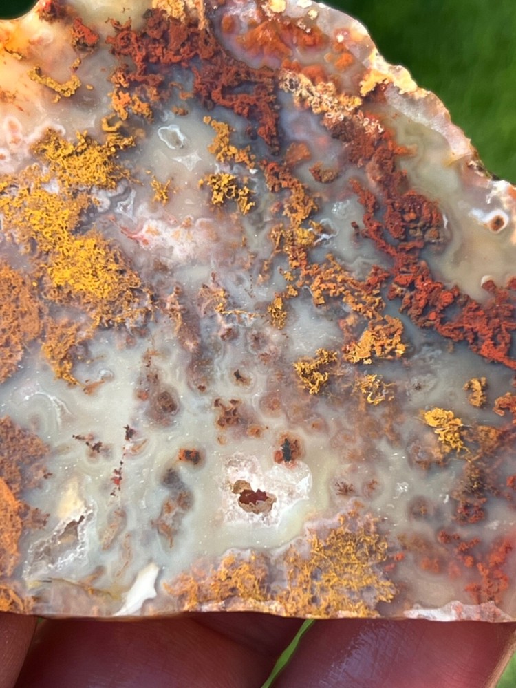 (X2) Rare Powell Butte Plume Agate Rough Slabs (C33)