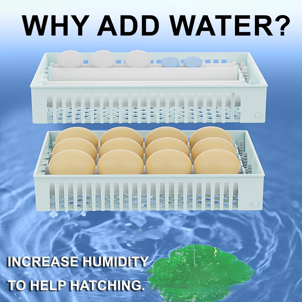 50W Fully Automatic Egg Incubator Egg Hatching Brooder Auto Hydration Flipping