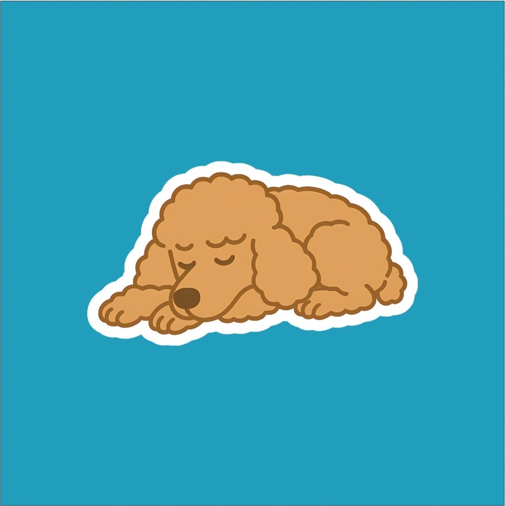 Poodle Sleeping Sticker