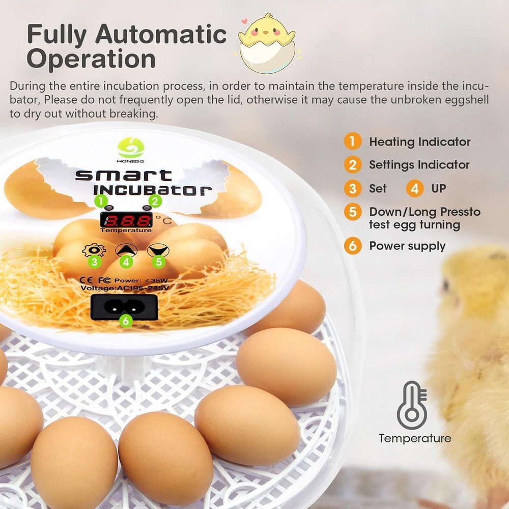 Incubators for Hatching Eggs 12 Egg Incubator with Automatic Egg Turning