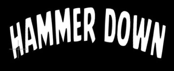 "HAMMER DOWN" CB / TRUCKER VINYL DECAL