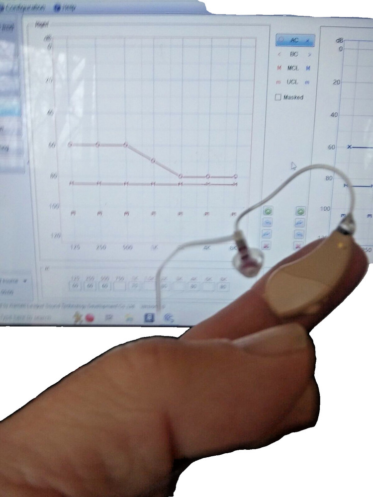 DIGITAL RIC mini HEARING AID LEFT ear, we program 4  modes  2 mics  noise reduct
