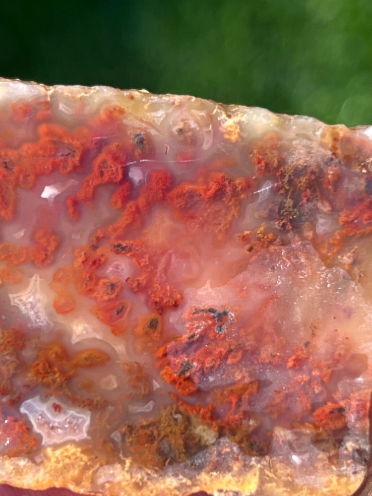 (X2) Rare Powell Butte Plume Agate Rough Slabs (C33)
