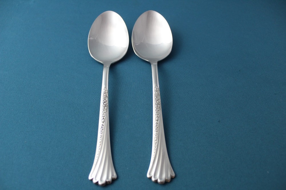 Oneida SPRING GLEN Serving Tablespoon (2pc Set) Stainless Canada 8"