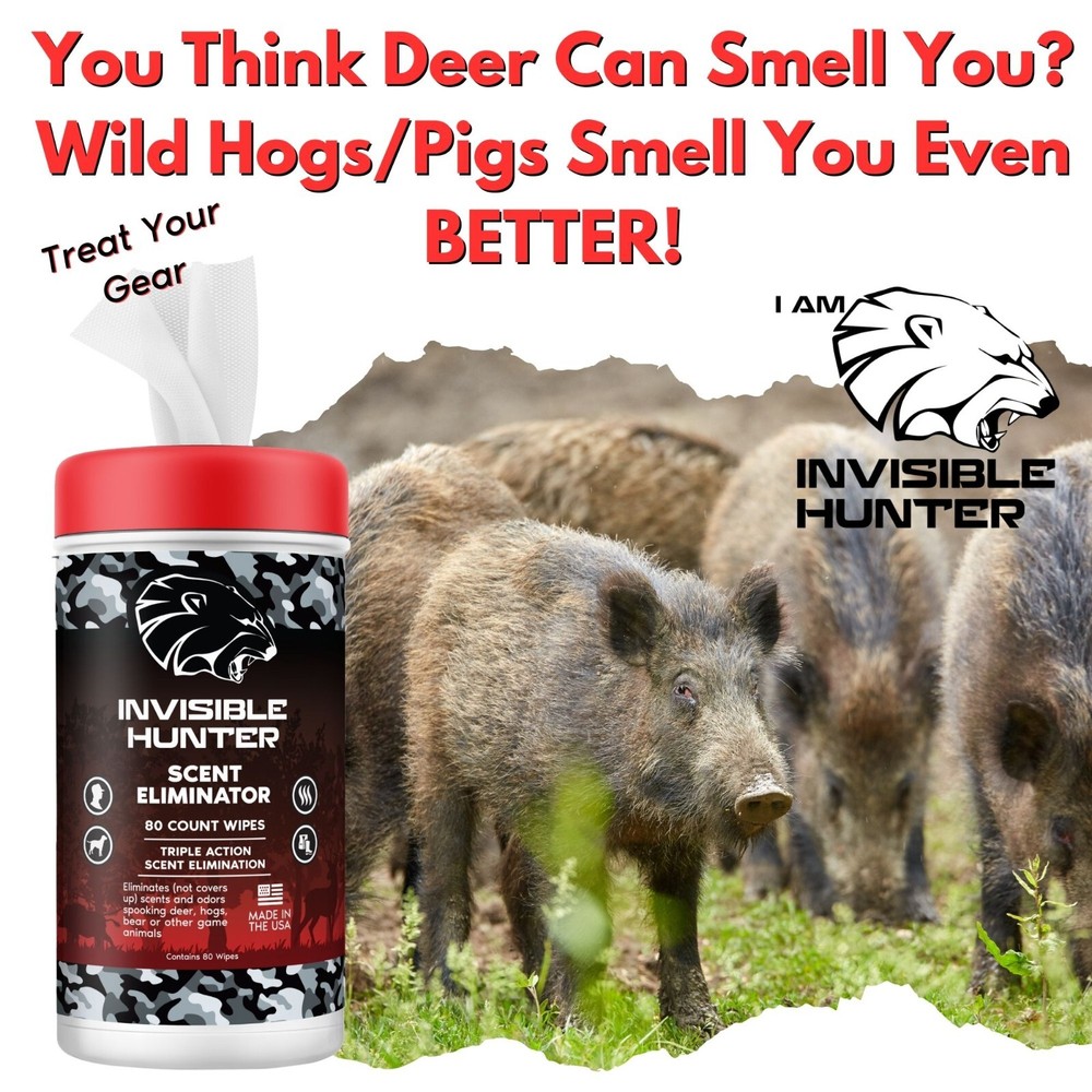 Invisible Hunter Scent Elimination 80-count Wipes; Triple Action Scent Control