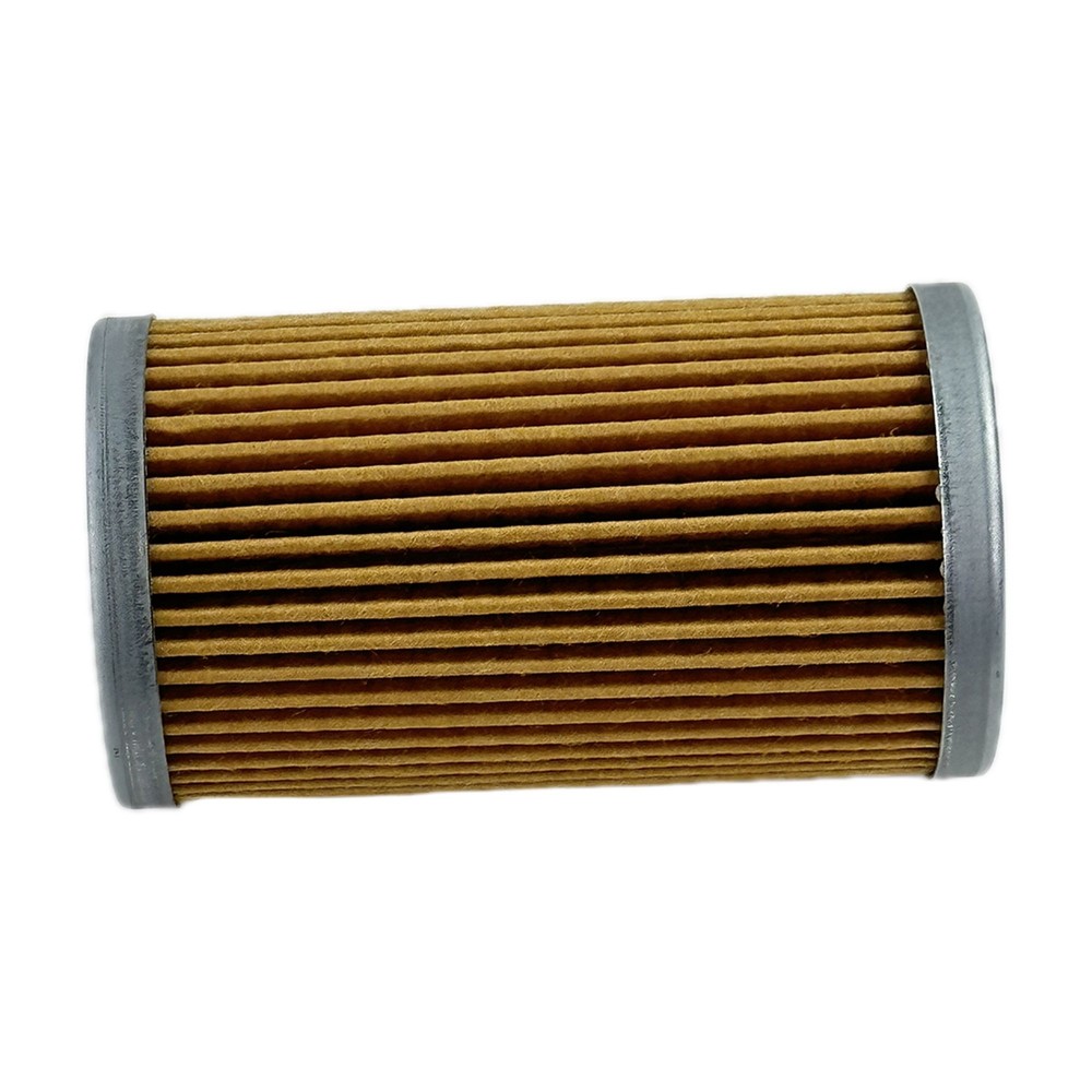 E-SBA130366050 Element Fuel Filter For FORD