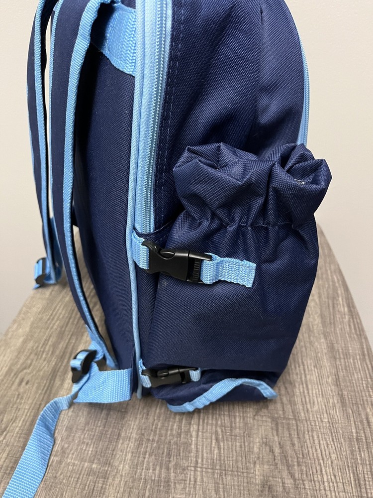 Apollo Cooler Picnic Backpack for 4 Blue Green