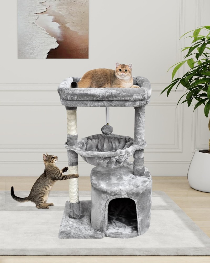 Small Cat Tree for Indoor Cats, Activity Cat Tower with Scratching Post for K...