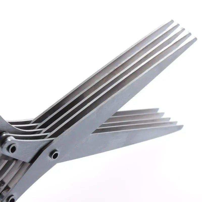 5-Blade Stainless Steel Scallion Cutter - Multi-Layer Herb & Kitchen Scissors