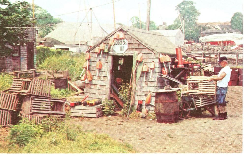 FISHERMAN'S SHANTY - PC4344