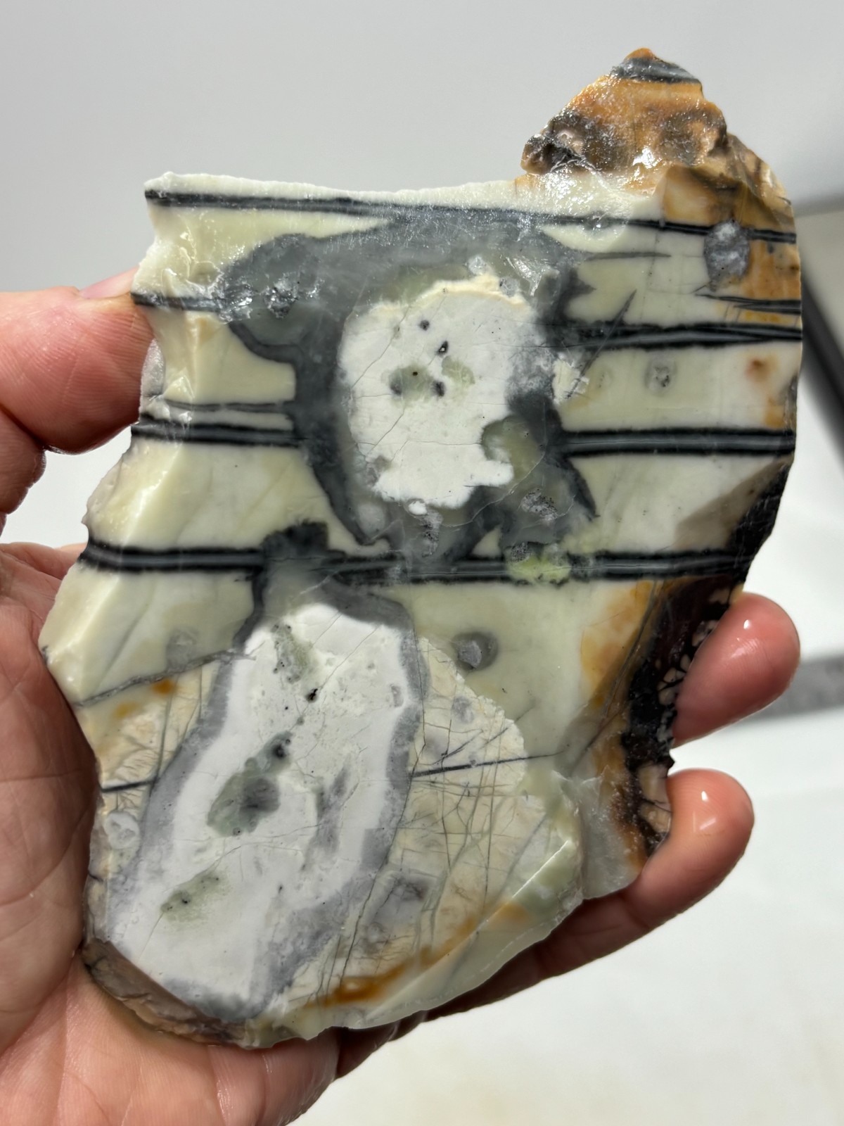 Picasso Marble (Jasper) end Slab Cabbing Lapidary Utah Combo Ship Avail