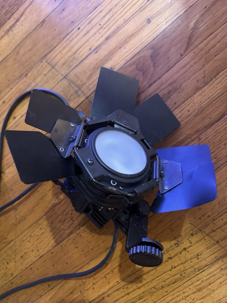 Studio Light with Barn Doors