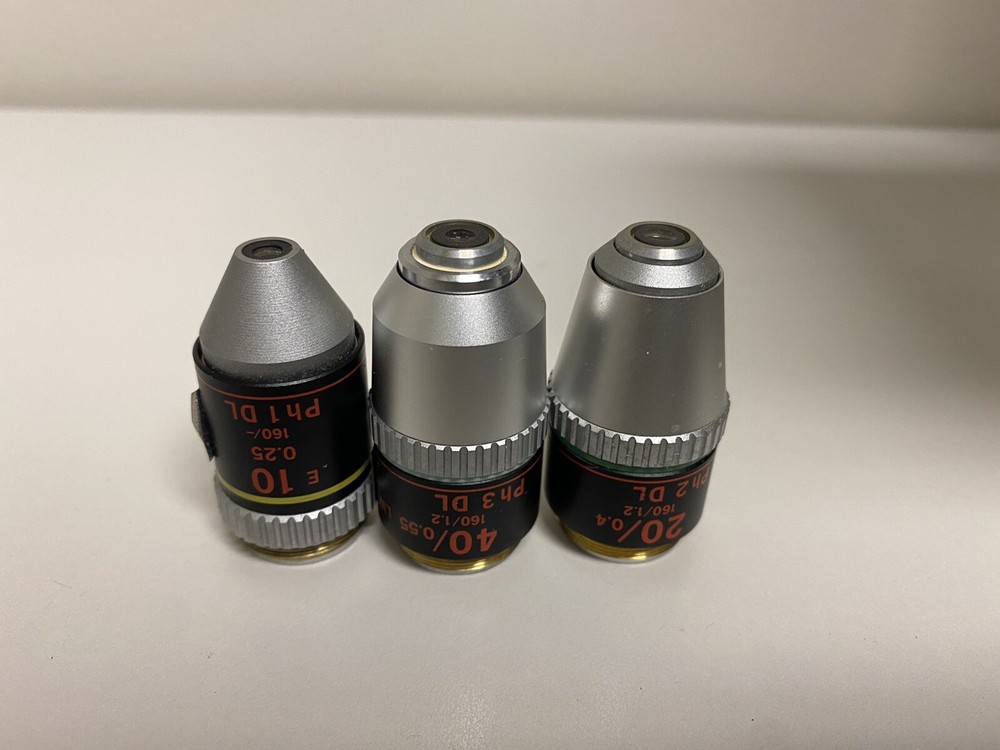 Nikon TMS Inverted Microscope TMS