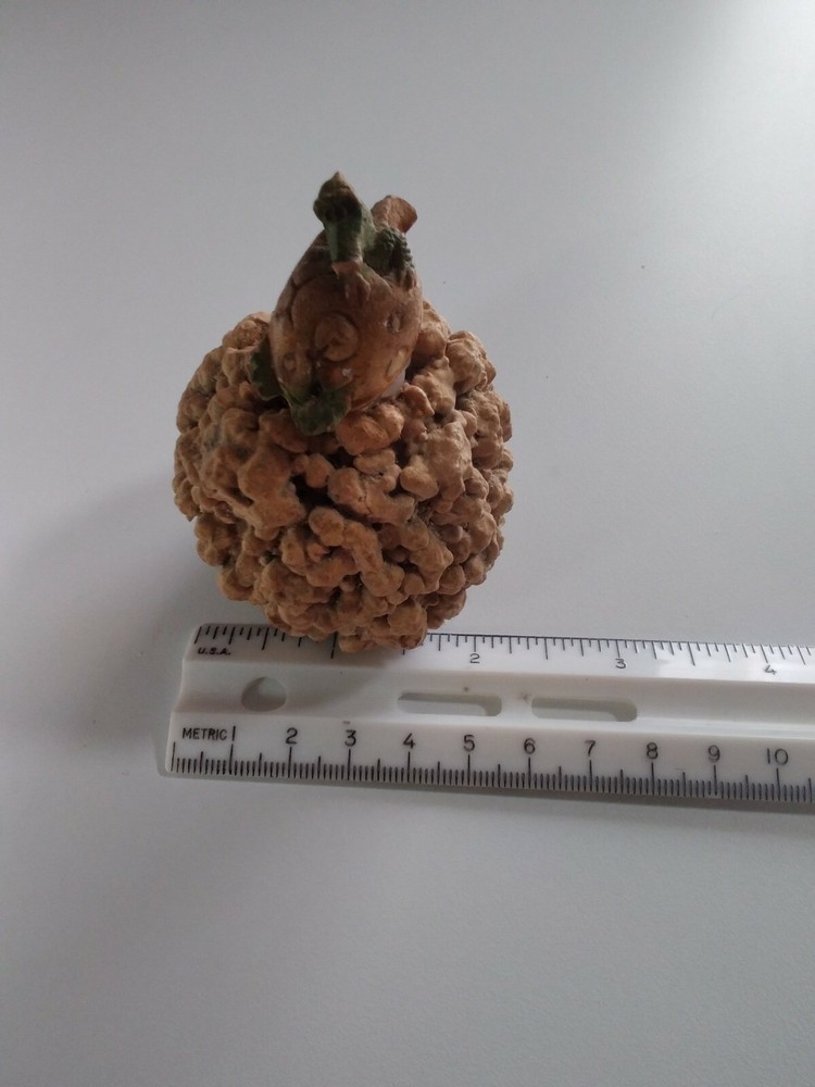 Dragon Hatching Sculpture Egg D&D GOT Paperweight