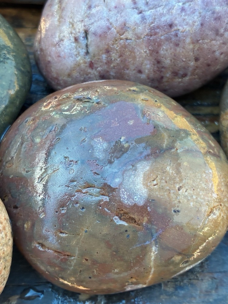 JASPER~ Solid ~Rocks For Sale Rough 3 Lbs