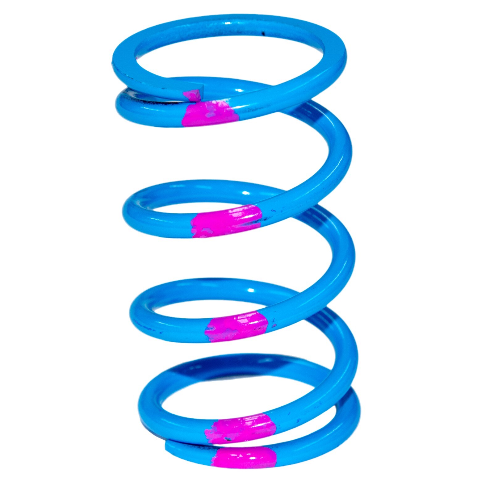 SLP High Performance Drive Clutch Spring - Blue / Pink - 40-76