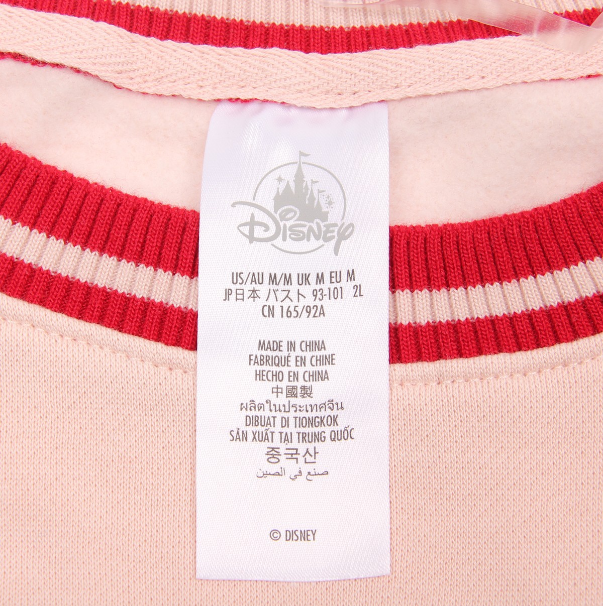 Disney Disneyland Resort Embroidered Castle Pullover Sweatshirt