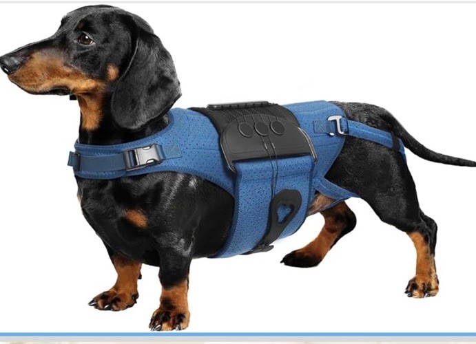 Haggemi Dog Back Brace Support-XL