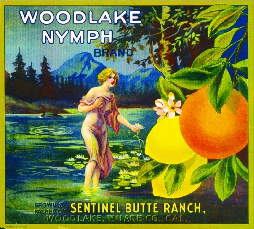 Woodlake Tulare County Nymph Orange Citrus Fruit Crate Label Art Print