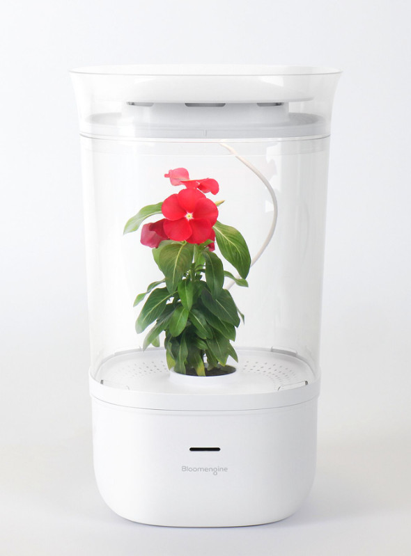 Bloomengine Smart hydroponics Flower pot (Brand new)