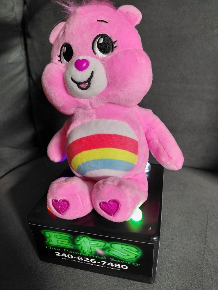 Pink Bear EMF Detector for Ghost Hunting