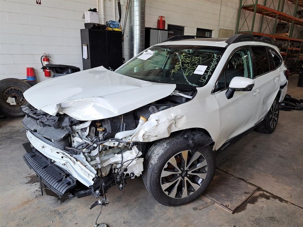2016 Legacy Outback Jack Sku#4202570
