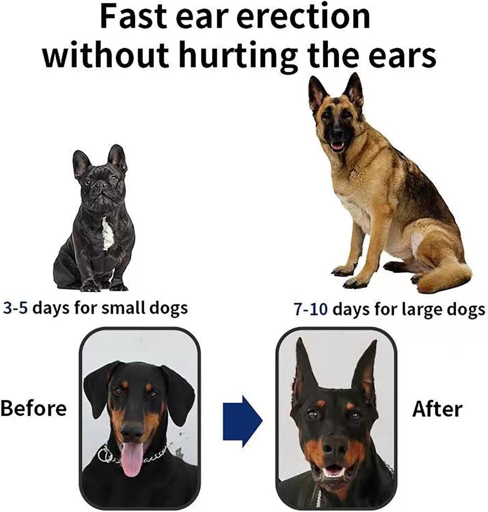 Adjustable Dog Ear Support Tool: Comfortable and Durable Ear Shaping Solution