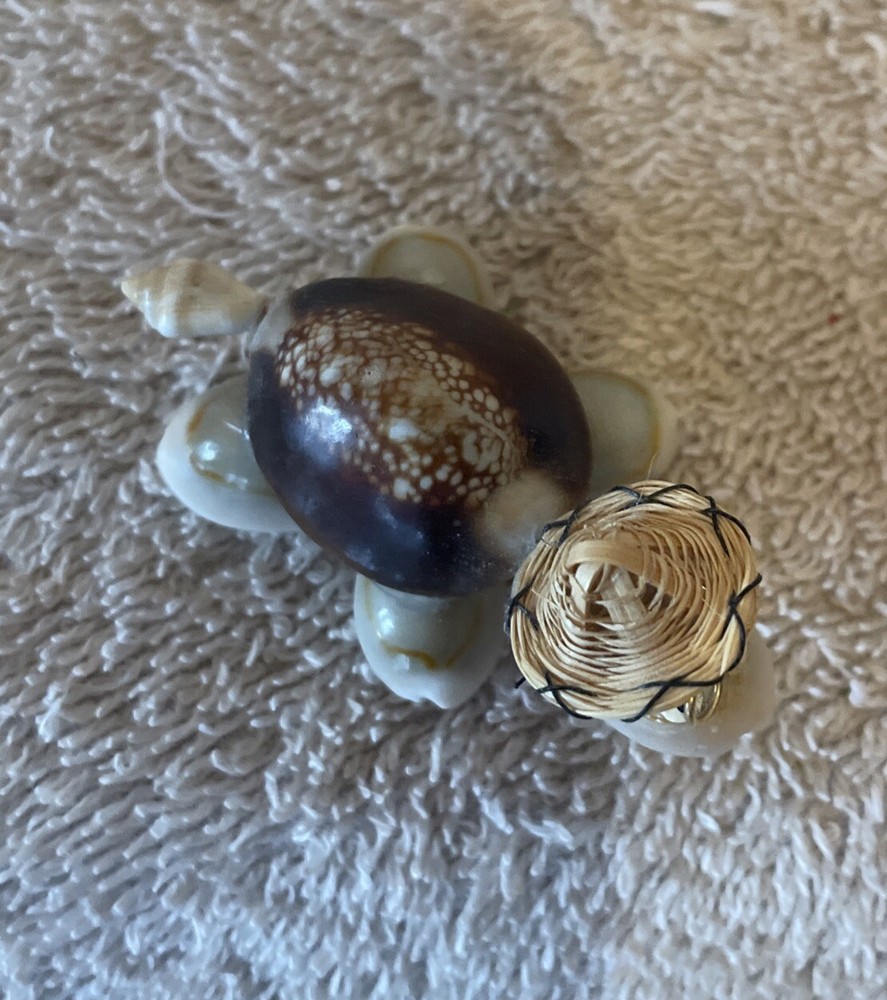Cute Handmade Seashell Turtle with Wire Glasses Hat/Philippines