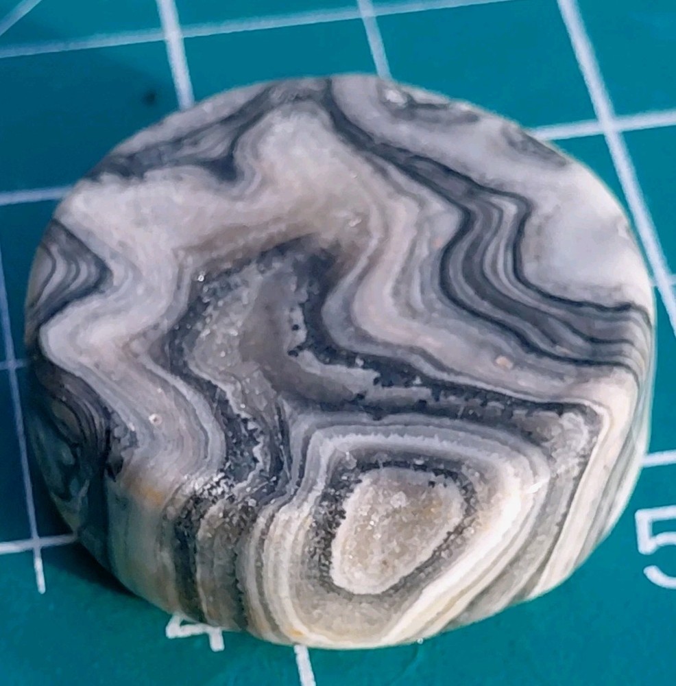 Zebra Calcite Dendrite Bands UV Reactive Phosphorescent Glow Cabochon PokerChip