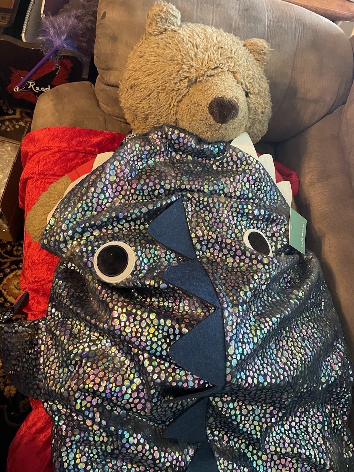 Childs Sleeping Bag Novelty Iridescent Alligator Dinosaur sleeping Bag