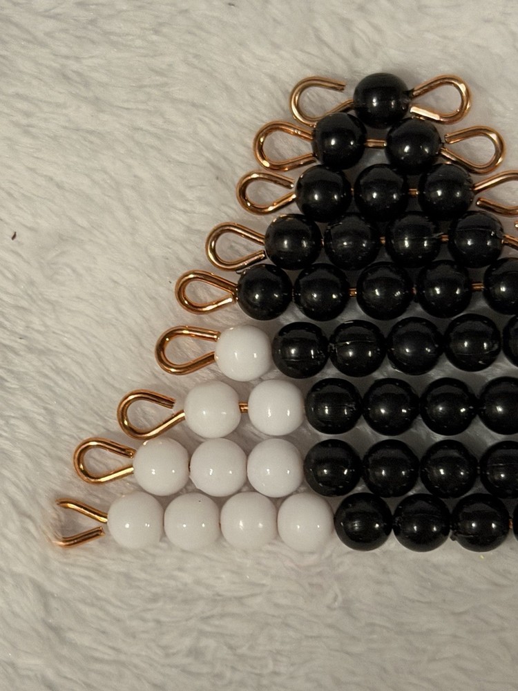 Montessori Negative Snake Game - Math Material
