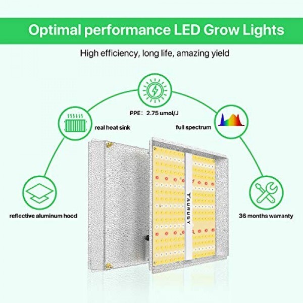 Full Spectrum Quantum Board LED Grow Light 2x2ft Coverage Green House Grow Light