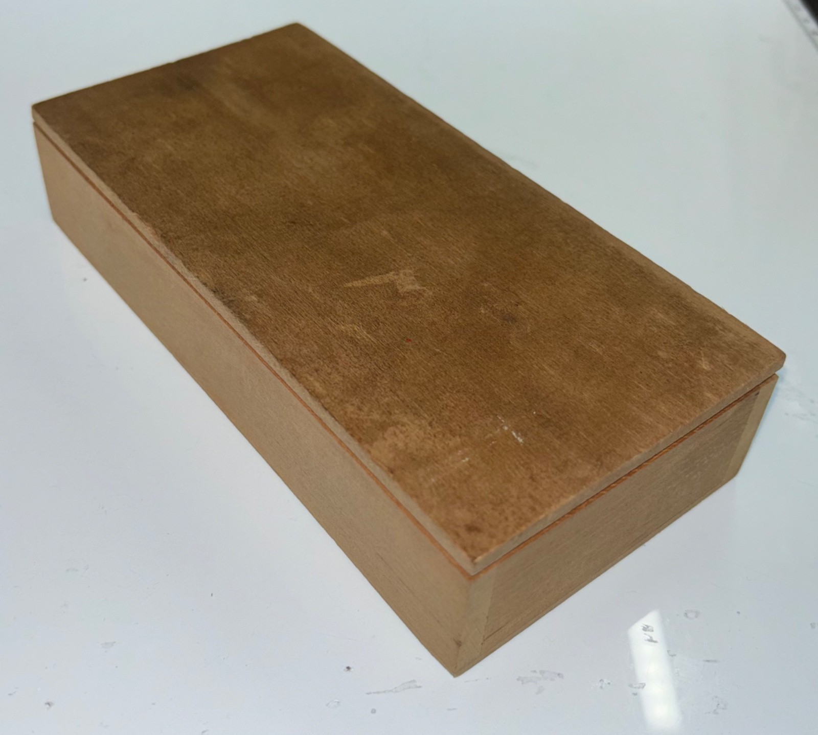 Embryology Microscope Slide Set 25 – aquatic, amphibian, chick, and mammal