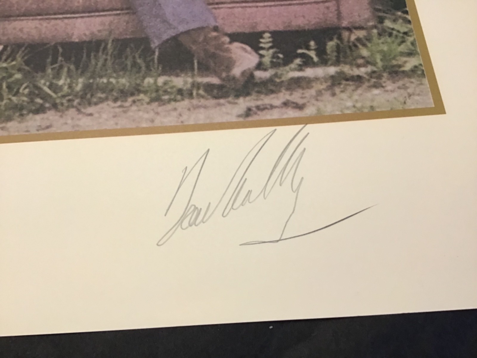 Crosby Stills & Nash Poster 2009 Autographed Neil Young Santa Barbara Coachella