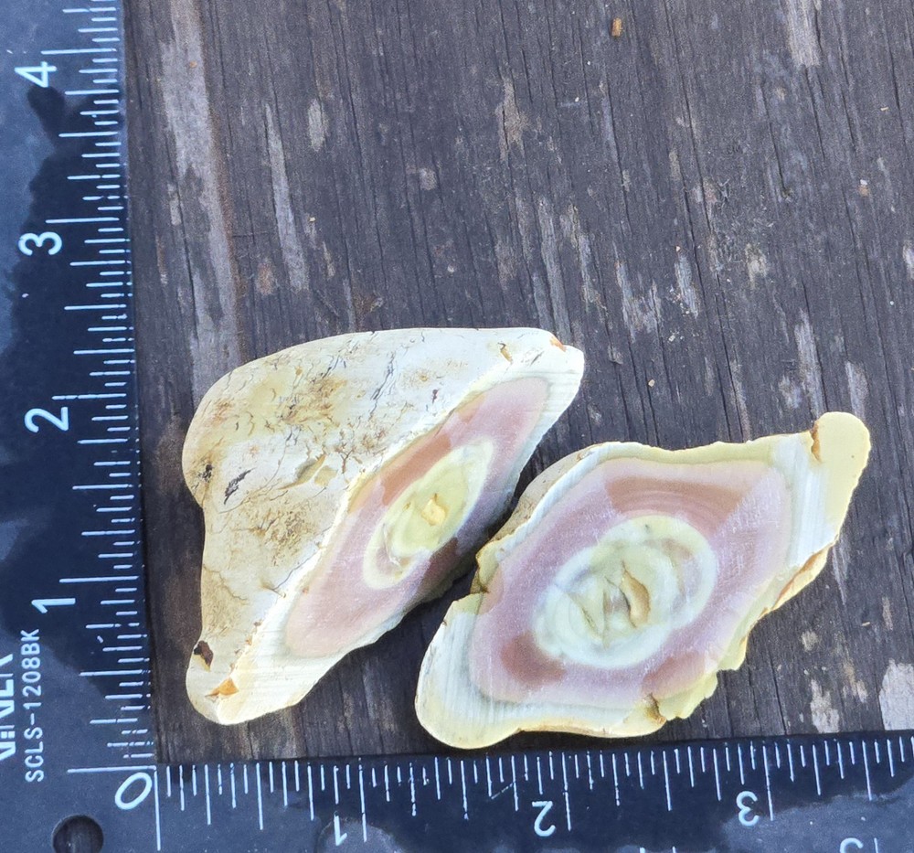 Royal Imperial Jasper Nodule Cut In Half Beautiful Egg Circle Pattern Rough