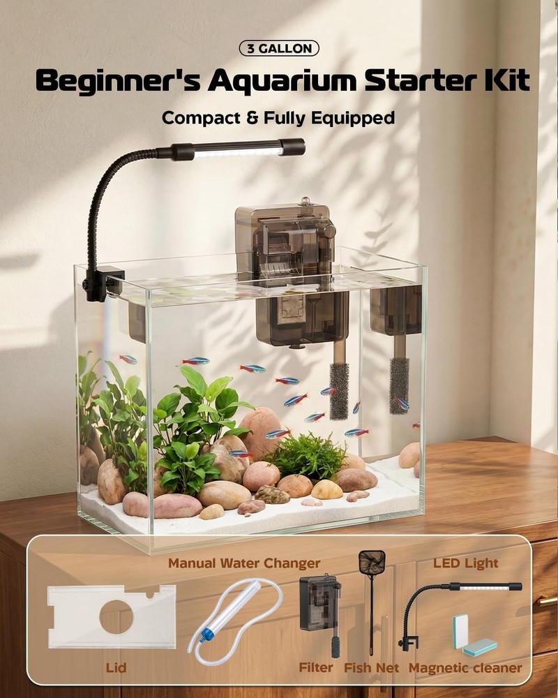 Beginner-Friendly 3 Gallon Aquarium with Lighting & Filtration - Compact & Clear