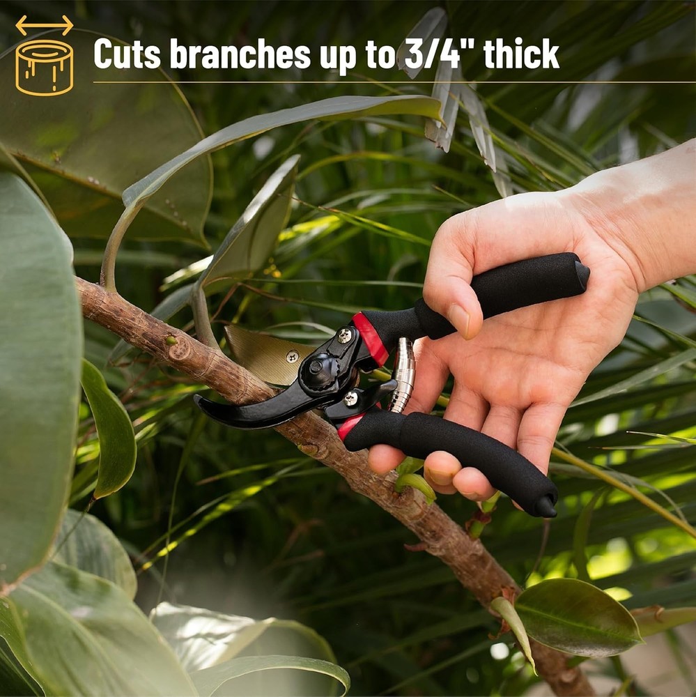 - Pruning Shears Garden Shears 8 Professional Titanium Blade Garden