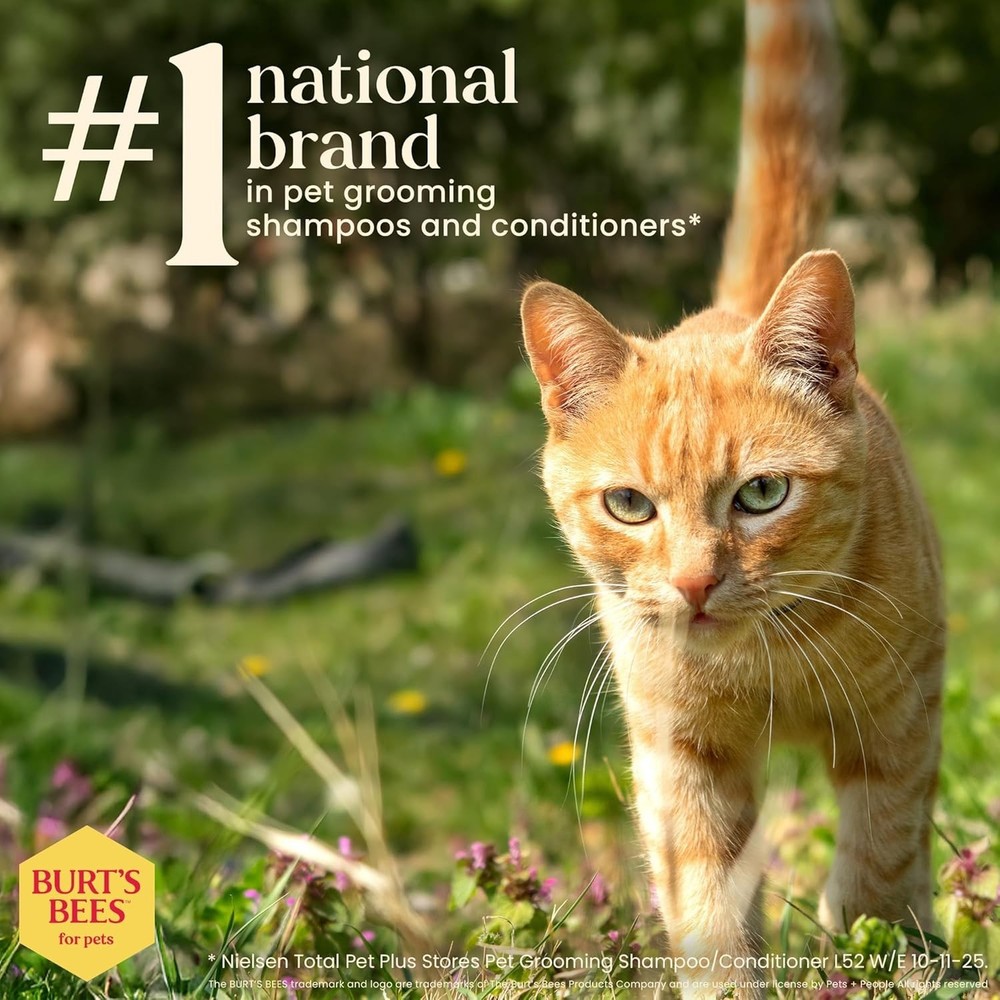Unscented 50 Count Dander Reducing Wipes for Cats & Kittens - pH Balanced