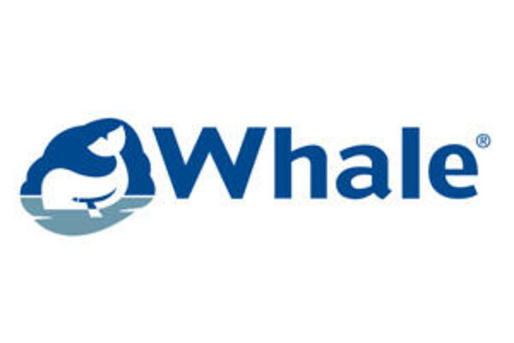 Whale Twist Deck Shower Cold Only DS0005