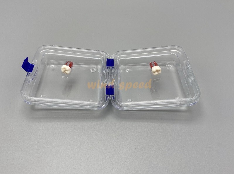 10PCS Denture False Teeth Membrane Container Hinged Jewelry Display Box Case