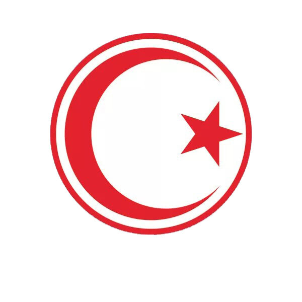 Tunisian Air Force Roundel Sticker Decal