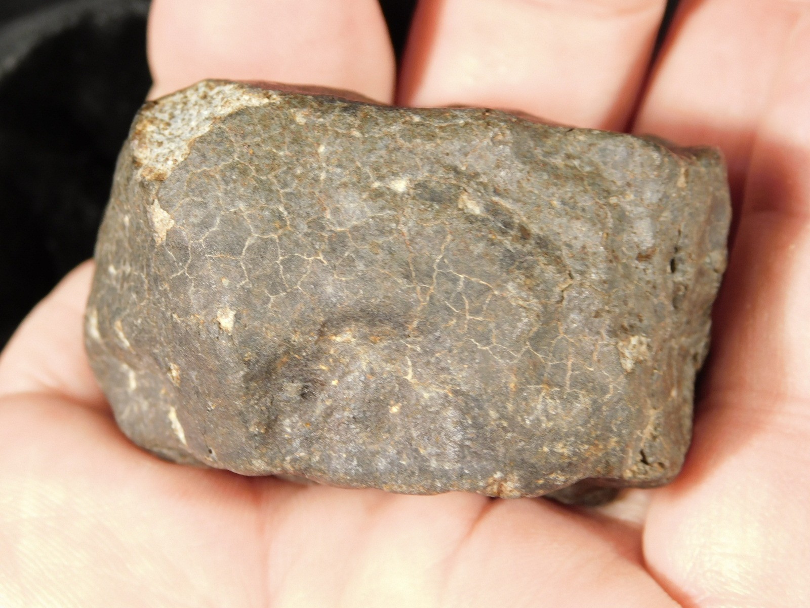 H6 Stony METEORITE Regmaglypts DARK Fusion Crust and Contraction CRACKS! 138gr