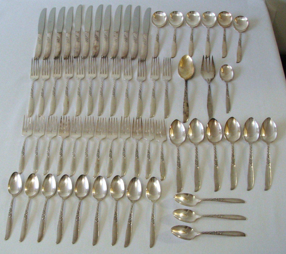 Wm. A. Rogers Silver Overlaid Oneida LTD. Wildwood Flatware Lot Of 62 Pieces