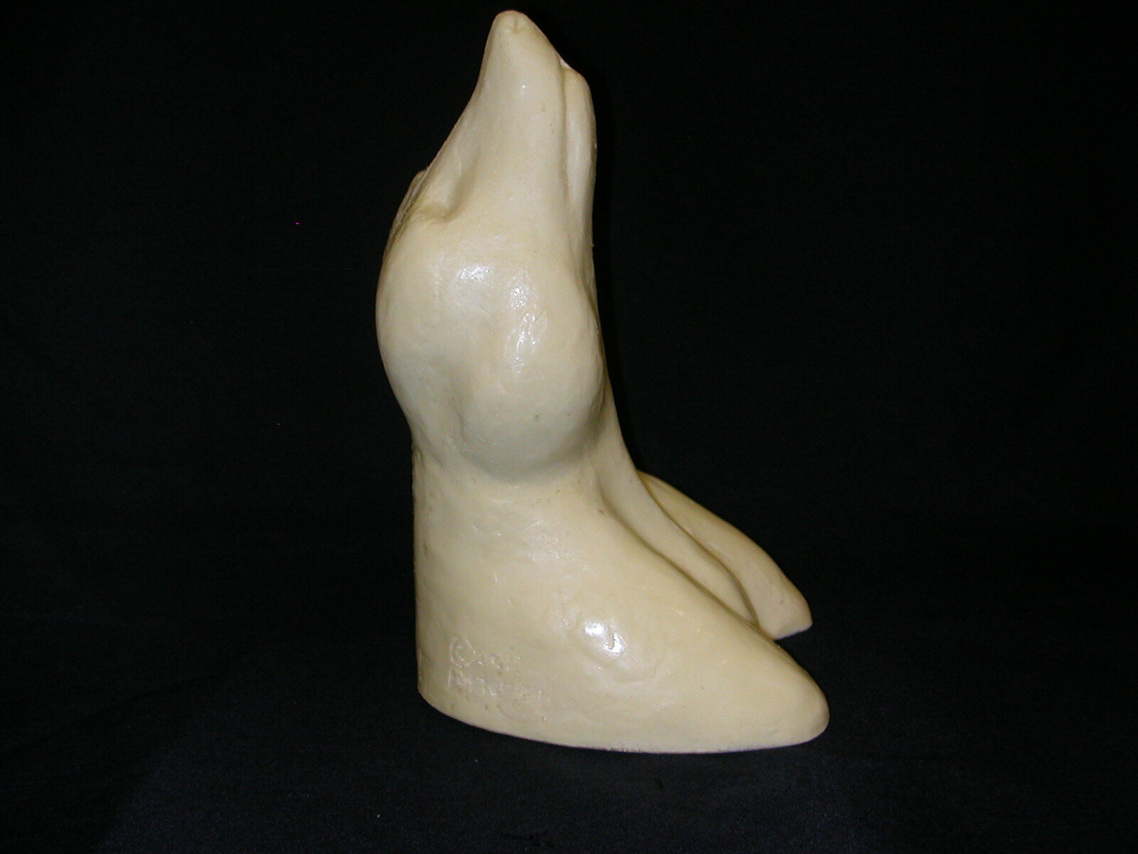 Taxidermy Form Raccoon Shoulder 2 1/8 X 6 1/8 X 10 Rt Closed Mouth Mouth