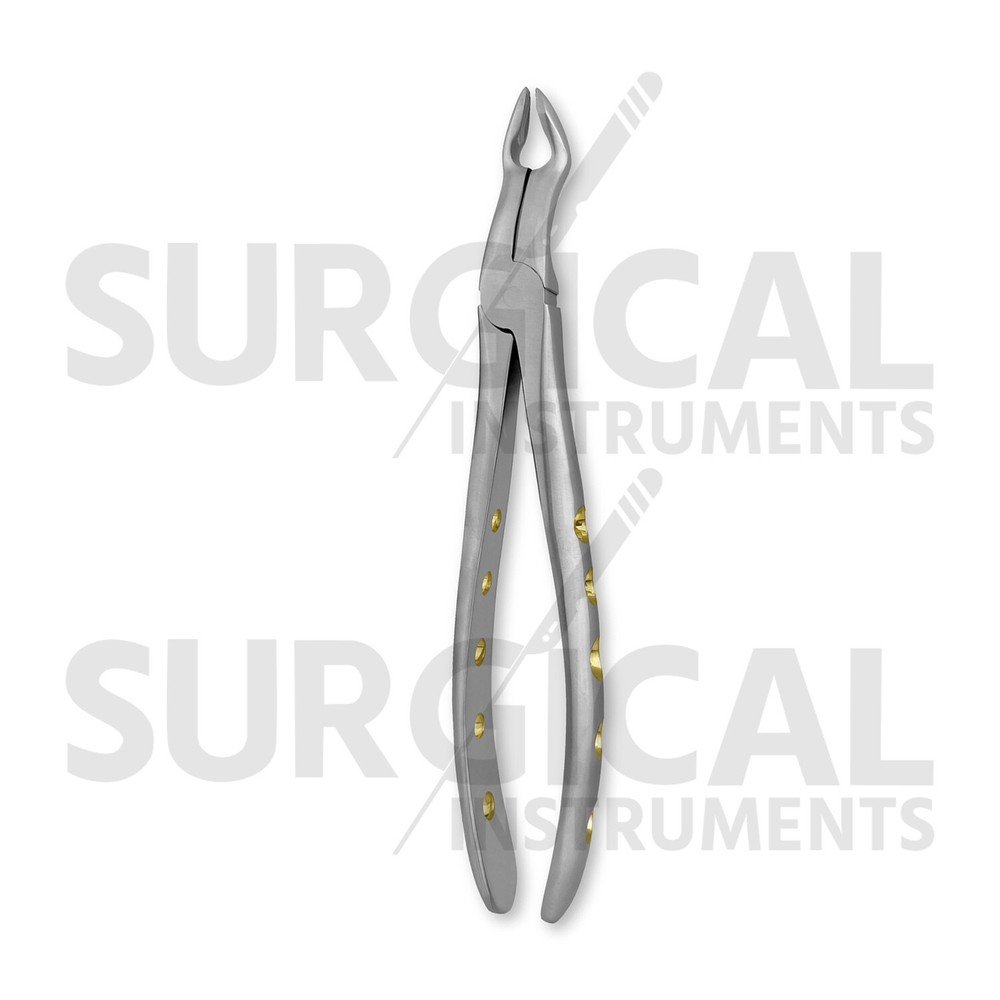 Heavy Duty Stainless Extraction Forceps #67A - Gold Hollow Python Grip German Gr