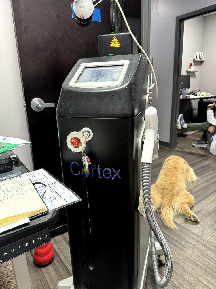 Sandstone Cortex Laser Co2 AND Erbium