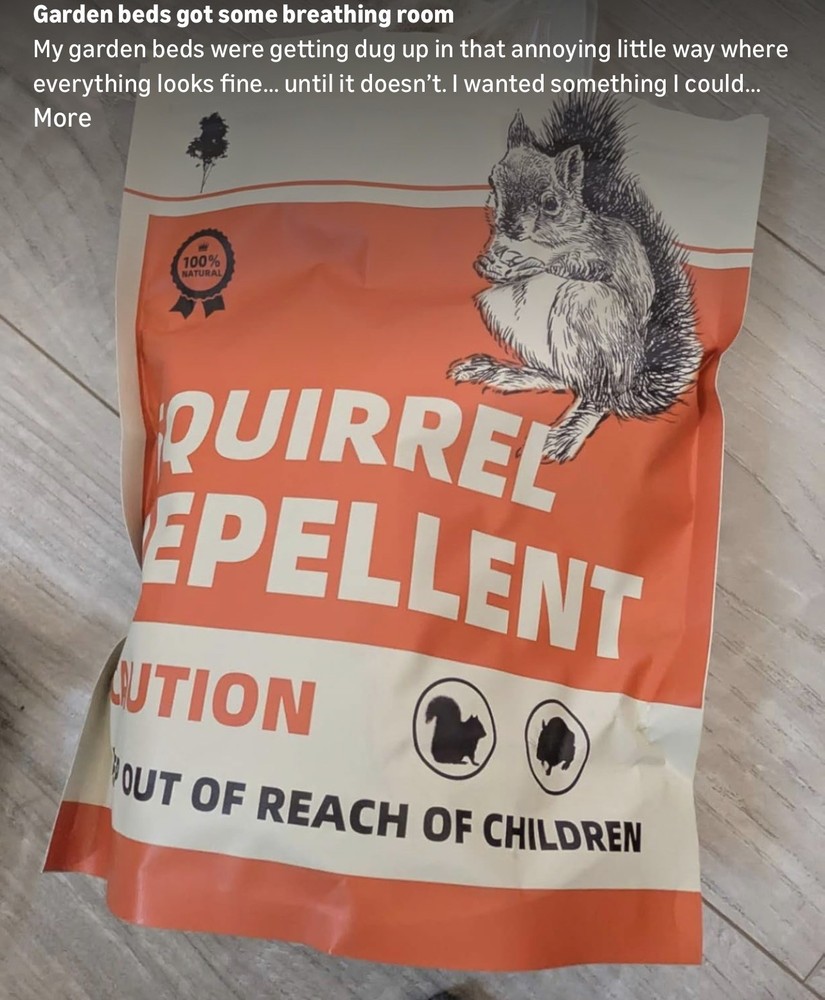 KQCWKH Squirrel keep out of